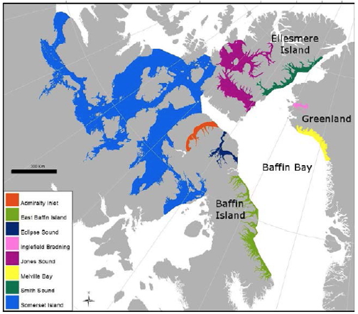 A Fisheries and Oceans Canada map showing different places where Baffin Bay narwhal stocks gather in summer. The Baffin Bay population, estimated to number about 142,000, is one of two narwhal populations in Canada, the other being in northern Hudson Bay. (DFO MAP)