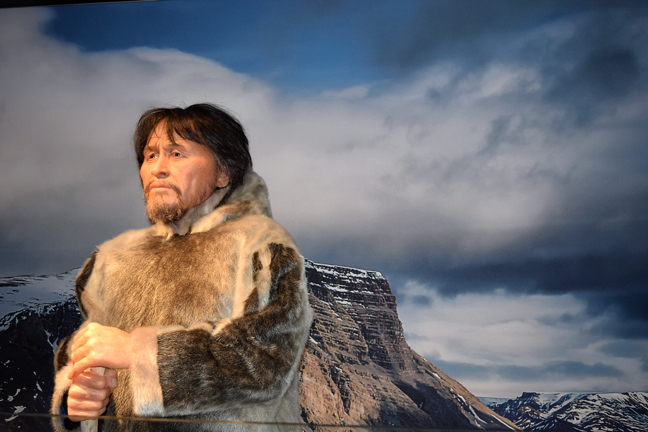 You can almost hear him breathing. Meet Nuvumiutaq, a replica of an 800-year-old Thule man whose remains were found near Arctic Bay in 1959. He looks out from an Arctic landscape at the Canadian Museum of History in Gatineau, Quebec, March 26. Scientists at the museum studied the remains and, with the help of Arctic Bay residents and elders, and a replica specialist from France, resurrected the man to be part of a new Indigenous peoples exhibit set to open this July for Canada's 150th birthday. Last weekend, they invited some Arctic Bay guests for a sneak peak. Read story later on nunatsiaqonline.ca. (PHOTO BY COURTNEY EDGAR)