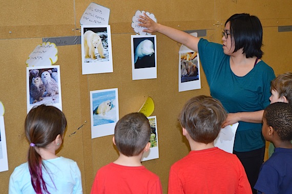 Amy Kalluk of Iqaluit's Joamie Elementary School works with students May 4 on a station which depicts sounds heard by Arctic animals. The station was one of five set up in the school gym at an all-day fair about hearing—how people hear, how to take care of ears, and more. Joamie students will now be able to hear what goes on in class better thanks to the Better Hearing in Education for Northern Youth program which has trained teachers and support staff at Joamie in new sound systems installed in the school's classrooms. By the end of 2017, all Qikiqtani elementary classrooms should be outfitted with similar sound systems. The new technology is in large part thanks to BHENY’s big win last winter when the group took home $300,000 of the 2015 Arctic Inspiration prize, for wellness projects across Canada’s North—an area where the incidence of hearing loss is 40 per cent higher than in the South. (PHOTO COURTESY OF S. LONSDALE)