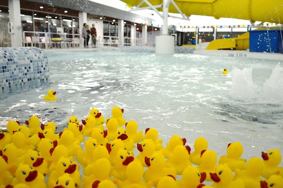 A duck's-eye view of the leisure pool during an event held to raise money for the centre by racing rubber ducks down the water slide. (PHOTO BY STEVE DUCHARME)