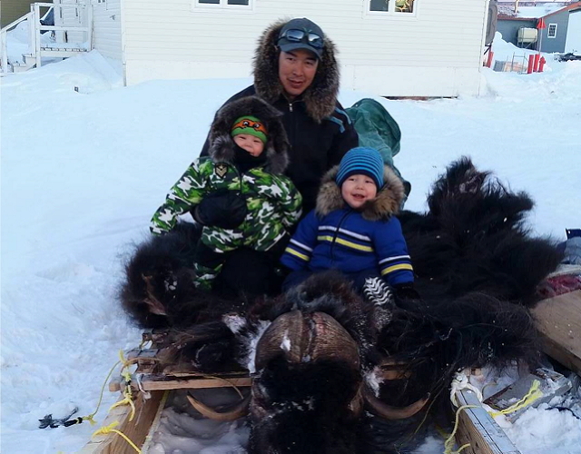 Rankin Inlet's Kaluk Tatty poses April 30 with with his sons, Anguti and Siguitok, and his first-ever harvested umingmak, or muskox. According to online websites that track Nunavut muskox, the animal's ancestors have survived since the Pleistocene Era, or about 10,000 years. In the 1950s, due to an increased demand for their hides, muskox numbers dipped to about 1,000 animals and harvesting was curtailed to allow the herds to rebound, which they did in the 1970s. According to the International Union for the Conservation of Nature, the NWT has an estimated 75,400 muskox and Nunavut has an estimated 45,300, of which 35,000 are thought to occupy Arctic Islands such as Ellesmere, Devon, Victoria and Somerset, but those estimates of muskox in Nunavut vary depending on the source. And if you're wondering about those big horns, both males and females have them and they are not shed. Each year, they grow bigger. (PHOTO BY MAANI NATASHA TUGAK)
