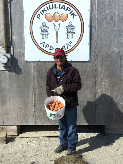 Samisa Qinuajuak, the hen farmer in Akulivik, holds up a bucket of freshly laid eggs. 