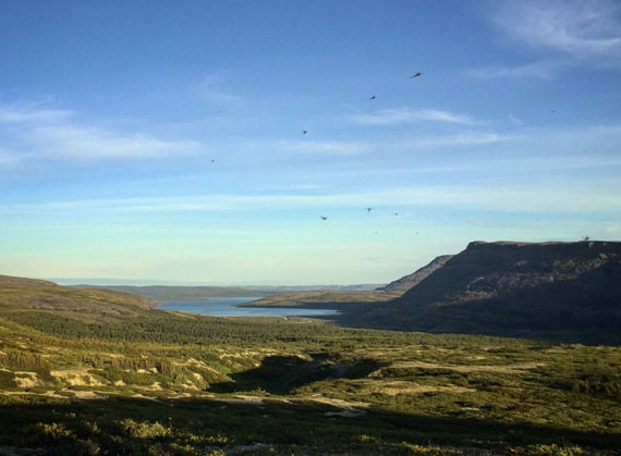 The evening sun casts its light over Tasiujaq Lake at the Richmond Gulf, just outside the Nunavik village of Umiujaq. Jessica Crow captured the scene, including some of the mosquitoes buzzing around her. Tasiujaq Lake is part of Tursujuq provincial park, Quebec's largest park, spanning more than 26,000 square kilometres. (PHOTO BY JESSICA CROW)