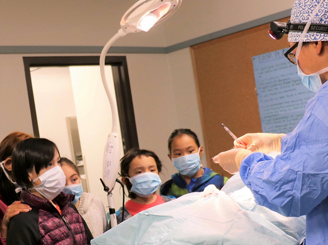 Kids in Resolute Bay don masks and watch Dr. Michelle Tuma operate on a dog named Nana during a mid-August spay and neuter clinic in Resolute Bay. Organizers of the clinic, which brought in vets from the NWT SPCA with help from community donations, say watching the surgeries and asking questions has prompted some local children to consider becoming vets now. See story later on Nunatsiaqonline.ca. (PHOTO COURTESY SHELANNE BULFORD)