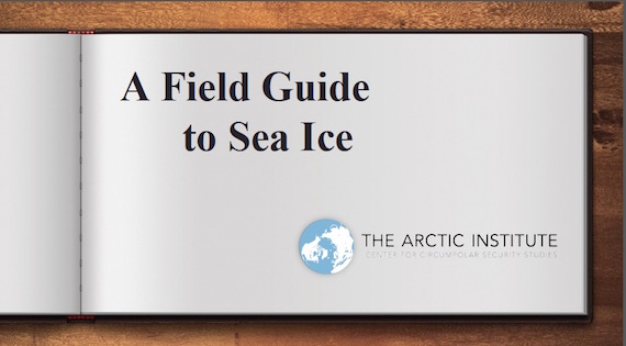 A new virtual Field Guide to Sea Ice offers simple explanations of terms used by scientists to describe ice conditions in the Arctic.