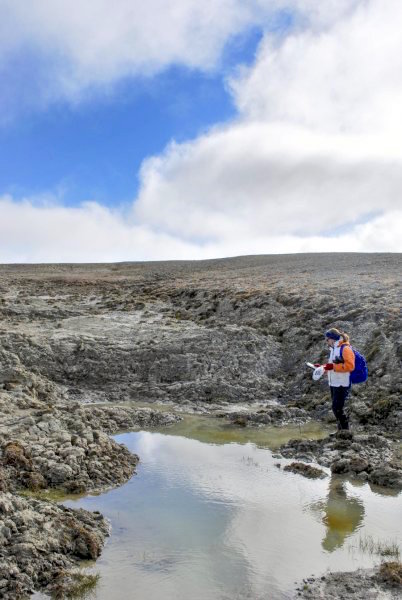 A researcher collects data from a pond in the High Arctic near the Cape Bounty Arctic Watershed Observatory in Nunavut's Melville Island. (PHOTO COURTESY OF MELISSA LAFRENIERE)