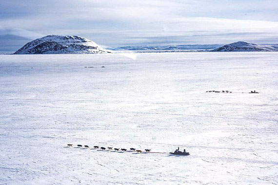 Mushers depart from the Nunavik community of Tasiujaq during the start of Makivik Corp.’s Ivakkak dogsled race on Tuesday, March 20. This year 11 mushers are competing. The race's route along the Ungava Bay coast will take them northward, past the communities of Aupaluk, Kangirsuk and Quaqtaq before finishing in Kangiqsujuaq. The race is expected to take about 10 days. (PHOTO COURTESY PIERRE DUNNIGAN/MAKIVIK)