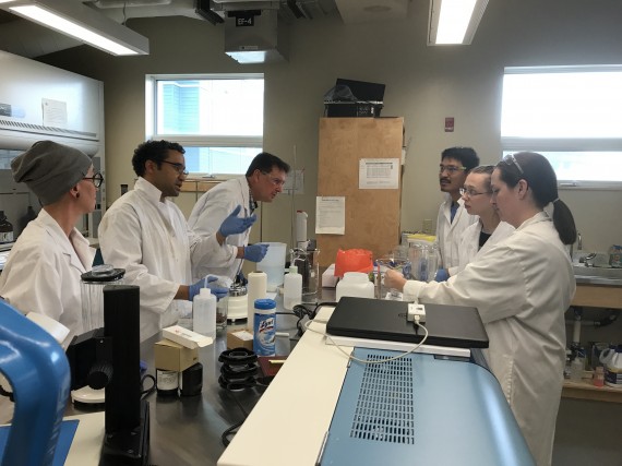 A team of analysts from NRI, NTI and GN-Health get trained, June 2017, in trichinella detection by experts from the Canadian Food Inspection Agency's centre for foodborne and animal parasitology. (PHOTO BY DANIEL TAUKIE) 