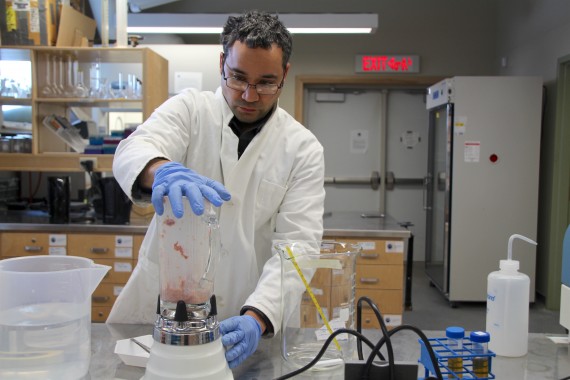 NRI's Jamal Shirley says polar bear tongue blends a bit differently from walrus meat. (PHOTO BY BETH BROWN)

