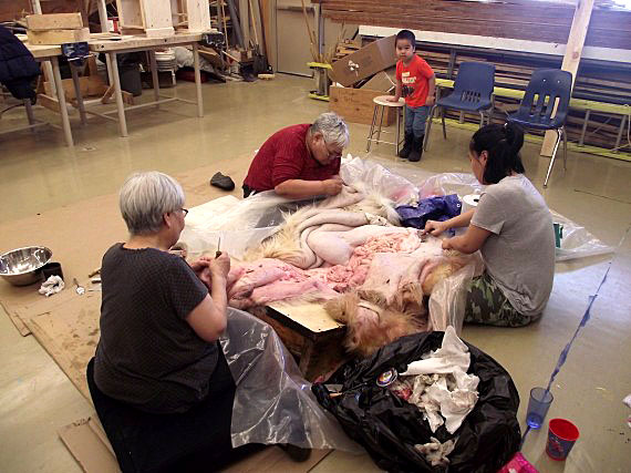 Students at Netsilik School in Taloyoak had the opportunity in early April to watch a demonstration of the techniques involved in cleaning a bear skin. (PHOTO COURTESY OF NETSILIK SCHOOL)


