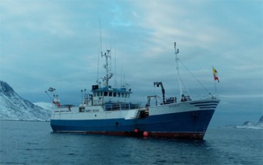 Nunavik’s Inuit organization banked over $7 million in royalties from the shrimp fishery for the 2017-2018 year. (FILE PHOTO)