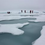 Arctic