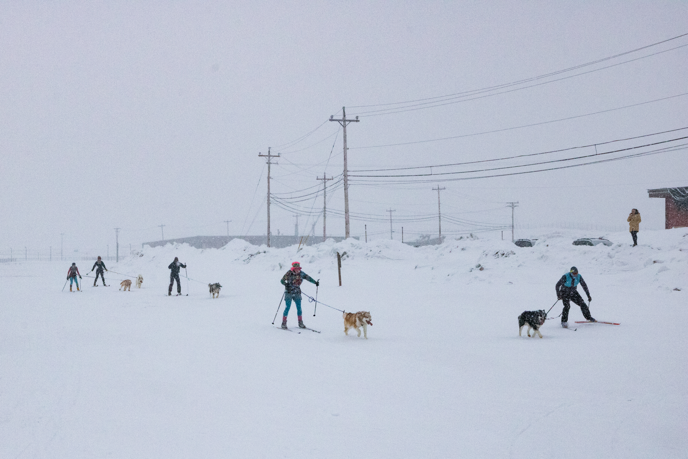 Andrew Maher, right, and his dog Ikuma hold a slight lead over Sarah McNair-Landry and her dog Roscoe in the two-kilometre Toonik Tyme skijor race Tuesday night. Maher won the race, which drew 14 human racers, each accompanied by a dog, as well as more than 50 spectators to the entrance of Sylvia Grinnell Territorial Park. Toonik Tyme, Iqaluit’s annual spring festival, continues through April 20. (Photo by Jeff Pelletier)